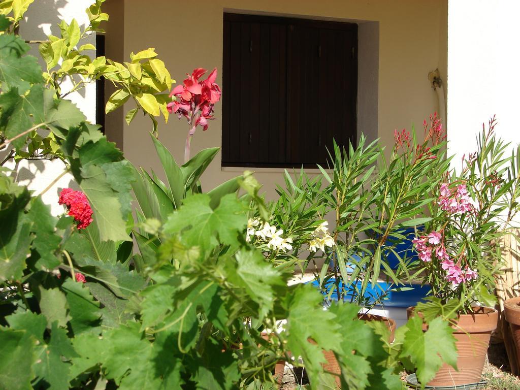 Le Gite Radica Eccica-Suarella  Habitación foto